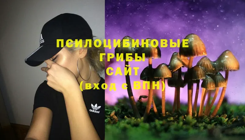 Галлюциногенные грибы Magic Shrooms  сколько стоит  Исилькуль 